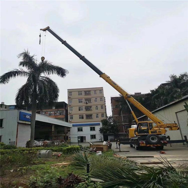 西华汽车吊出租多少钱？全面解析与市场行情